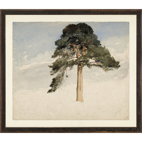 COLLECTION VINTAGE - Scottish Firtree C. 1849 - Small