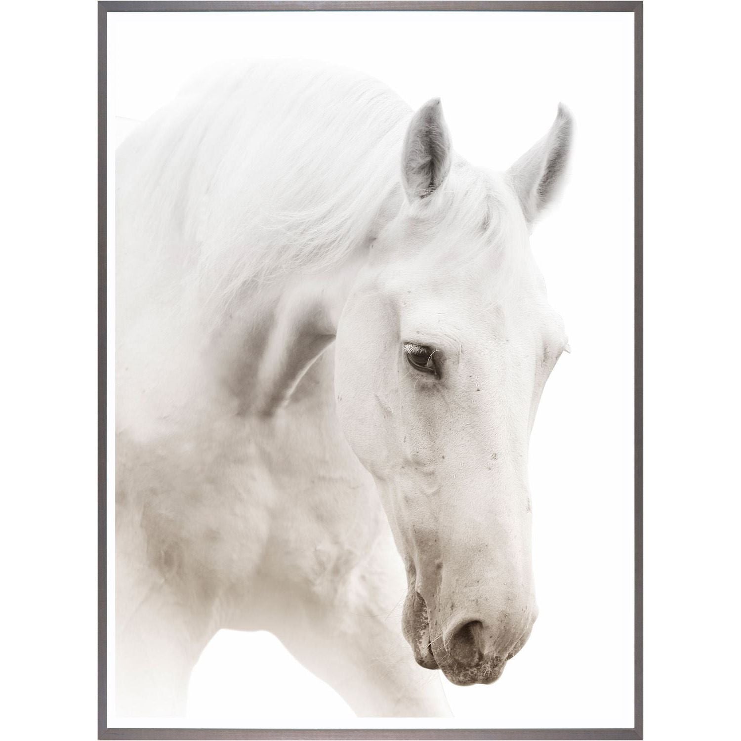 Archives des Cheval Cabre - Art Metal Deco
