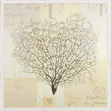 DOCUMENT SEA FERN II