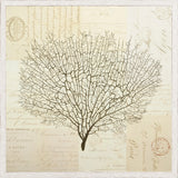 DOCUMENT SEA FERN I