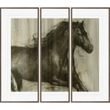 DYNAMIC STALLION I Triptych