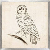OWL LINE I