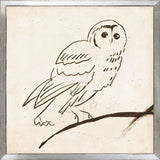 OWL LINE II