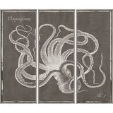 OCTOPUS TRIPTYCH S/3