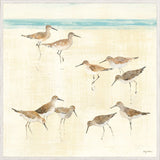 Sand Pipers