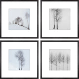 BIRCH VIEW S/4