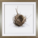 Simply Nests I