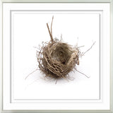 Simply Nests I