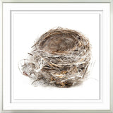 Simply Nests II