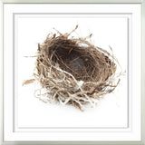 Simply Nests III