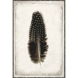 Feather Study III