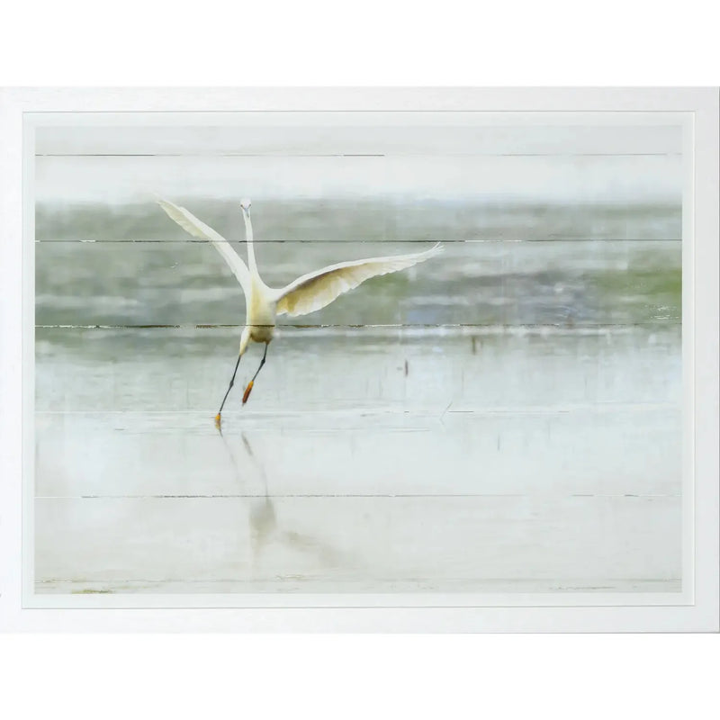 The Young Egret - Framed