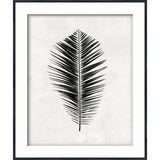 Carbon Species IV