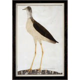 Minaggio Plate 93