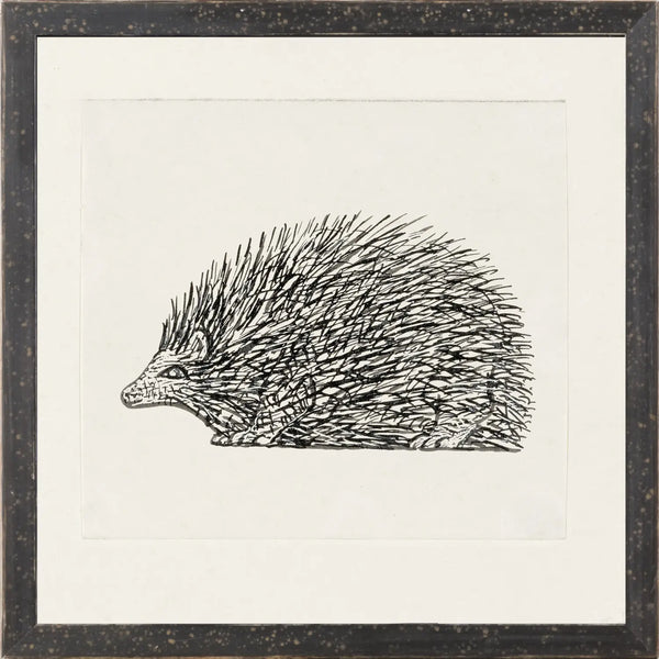Gestel, Hedgehog -1900
