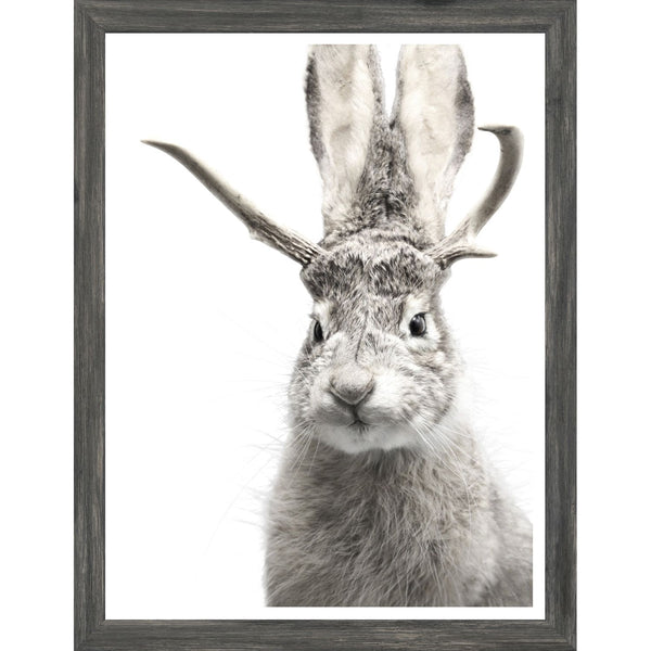 Jackalope Grey - Framed Small