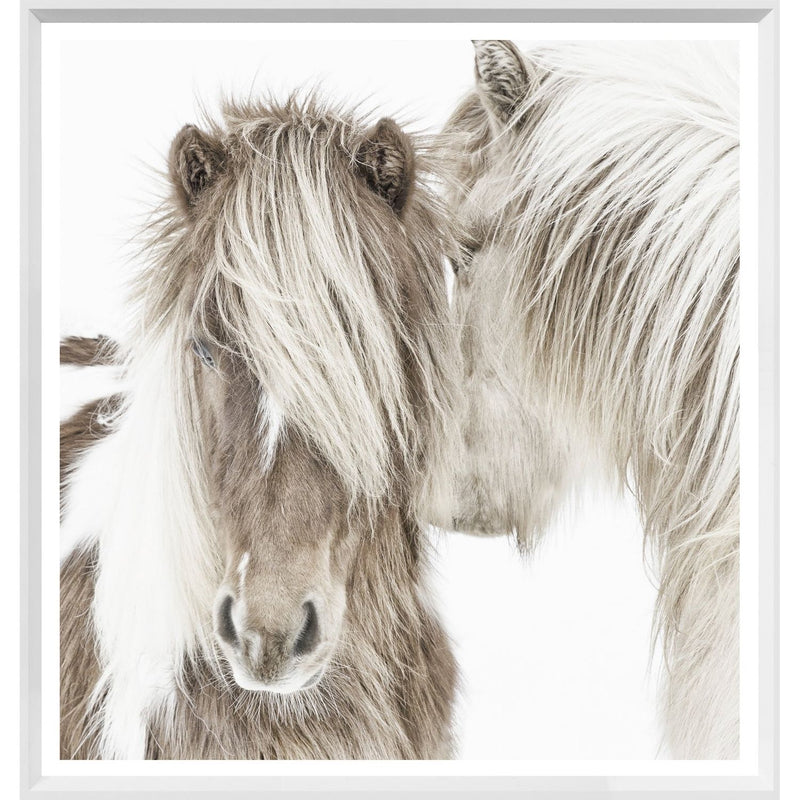Icelandic Ponies - Mini White