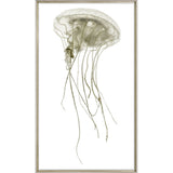 Pacifica Jelly I - Framed