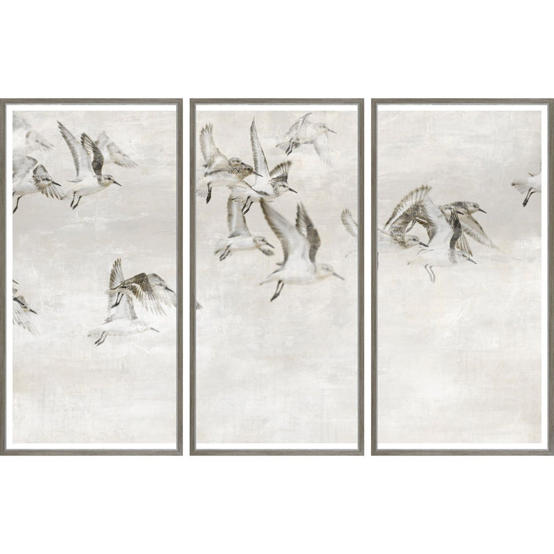 Sand Pipers Take Wing - Triptych