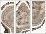 Live Edge Triptych