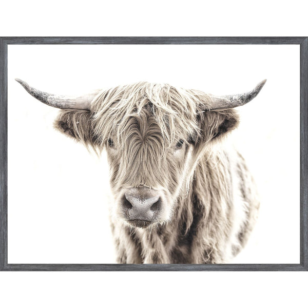 MF - Highland Cow - Mini - Grey