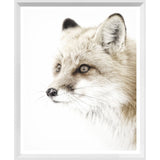 Mod. Farm - Red Fox - Mini White