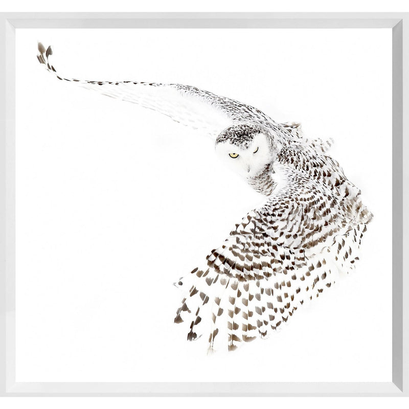 Mod. Farm - Snowy Owl - Mini White