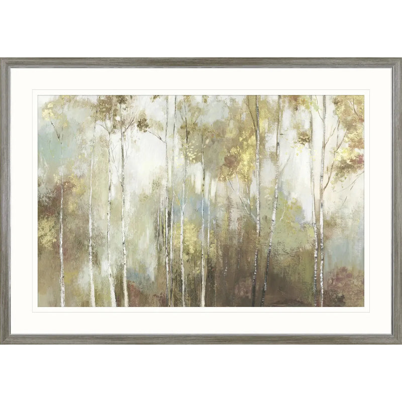 Fine birch III- Framed Large