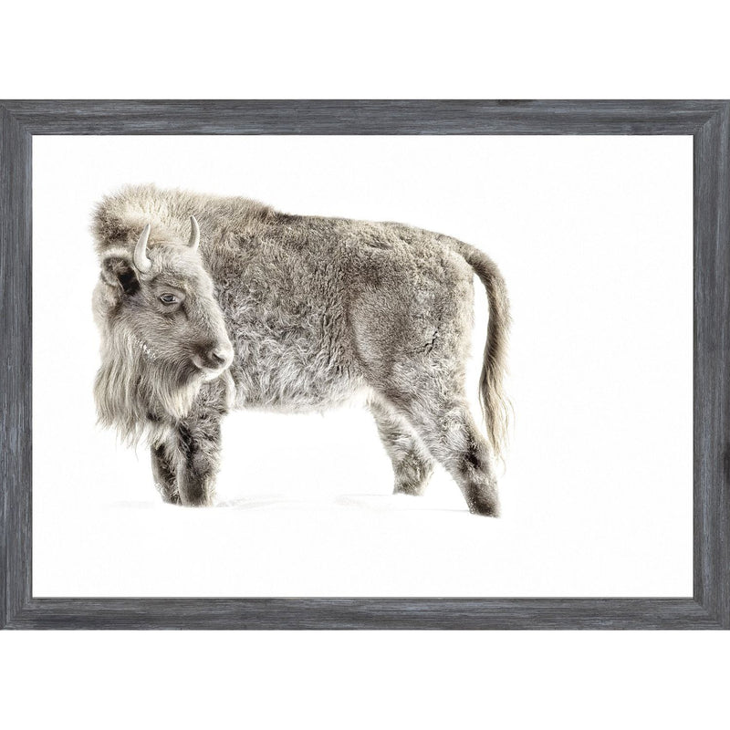 Mod. Farm - Juvenile Buffalo - Mini Grey