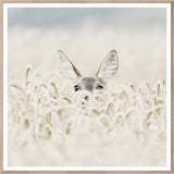 Peekaboo Deer