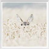 Mod. Farm - Peekaboo Deer - Mini White