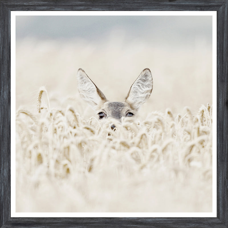 Mod. Farm - Peekaboo Deer - Mini Grey