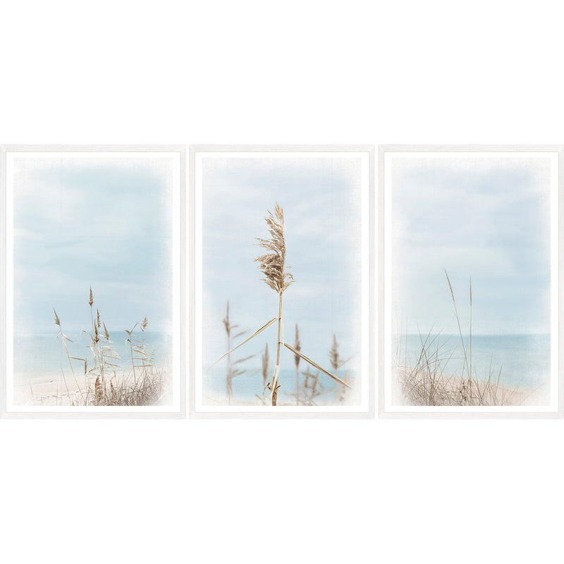 Dune Grass - Triptych