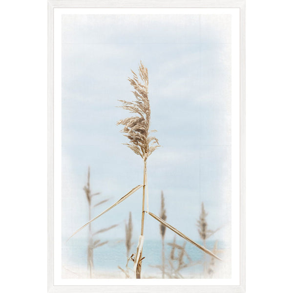 Dune Grass - Center