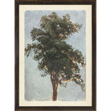 COLLECTION VINTAGE - TREE STUDY, 1855 - SMALL