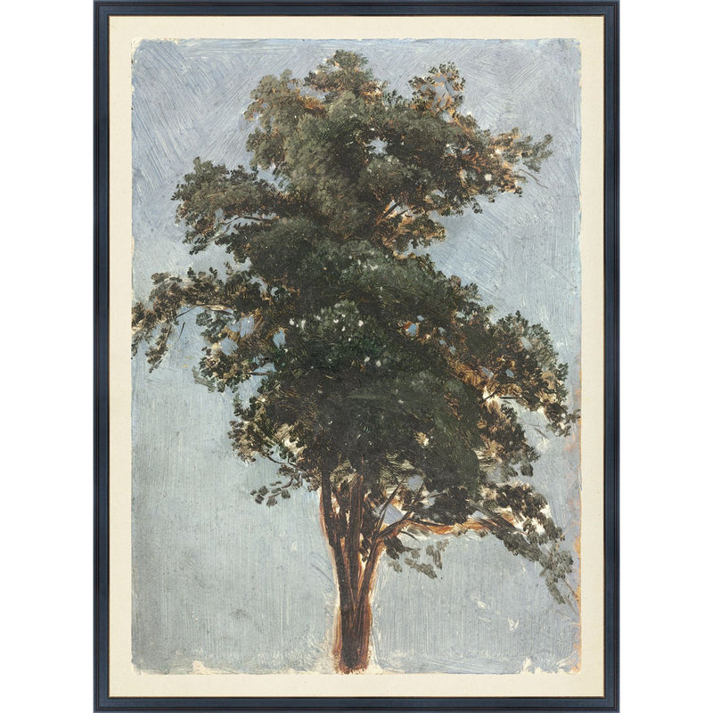 COLLECTION VINTAGE - TREE STUDY, 1855 - LARGE