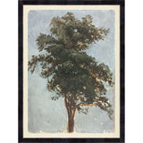 COLLECTION VINTAGE - TREE STUDY, 1855 - LARGE