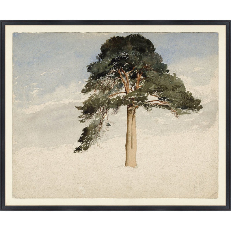 COLLECTION VINTAGE - SCOTTISH FIR TREE, 1849 - LARGE