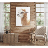 Llama Portrait