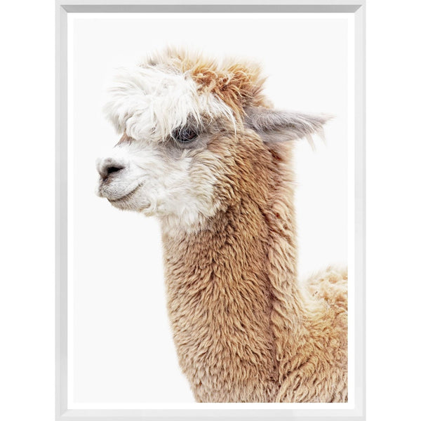 Mod. Farm - Llama Portrait - Mini - White