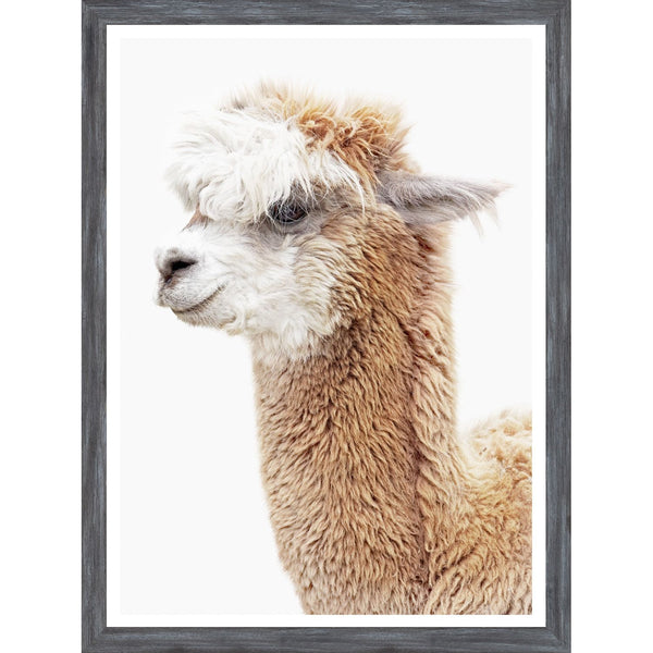 Mod. Farm - Llama Portrait - Mini - Grey