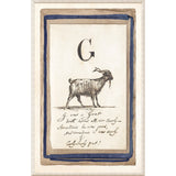 Edwards Alphabet - G, C. 1857