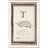 Edwards Alphabet - T, C. 1857