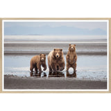 Natural - Bear Family - Small