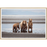 Natural - Bear Family - Small