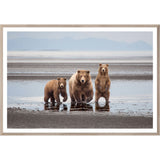 Natural - Bear Family - Large