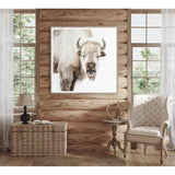 Sacred White Bison