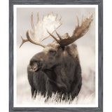 Grand Teton Moose - Mini Grey