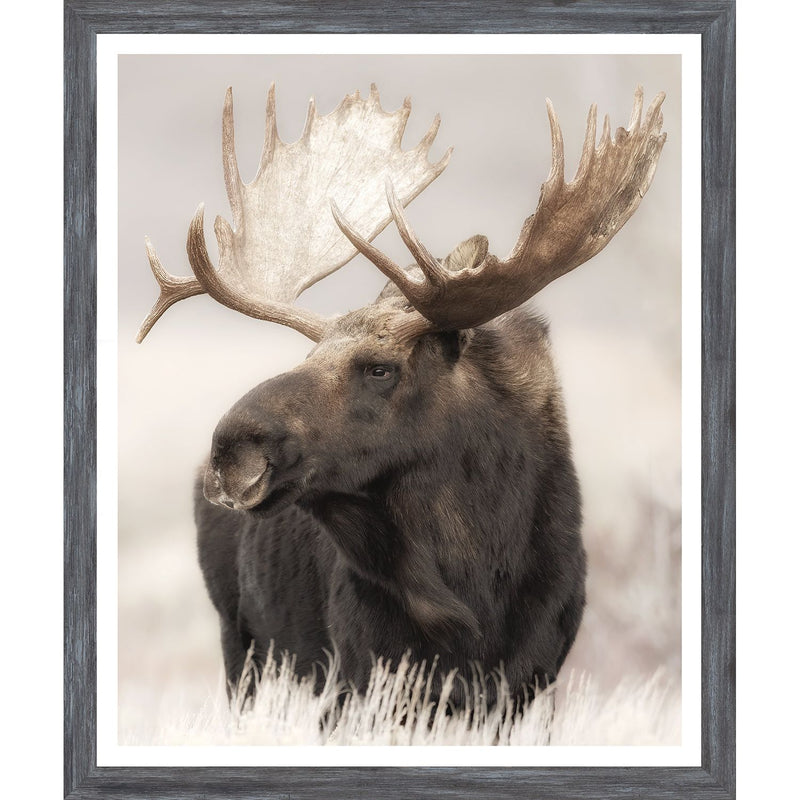 Grand Teton Moose - Mini Grey