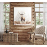 Red Deer Stag